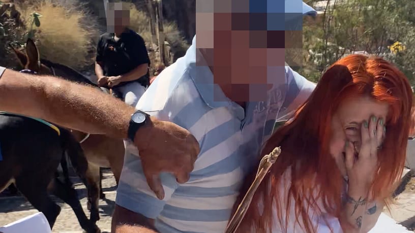Aktivistin von Esel-Treiber auf Santorini attackiert