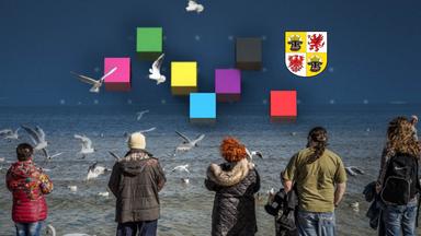 AfD wird stärkste Kraft in Mecklenburg-Vorpommern, verfehlt jedoch absolute Mehrheit