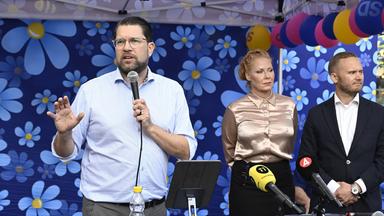 Politische Dynamik und Schwerpunkte in Schweden