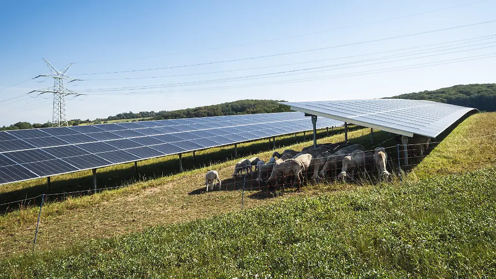 Rekord beim Solarstrom in Deutschland