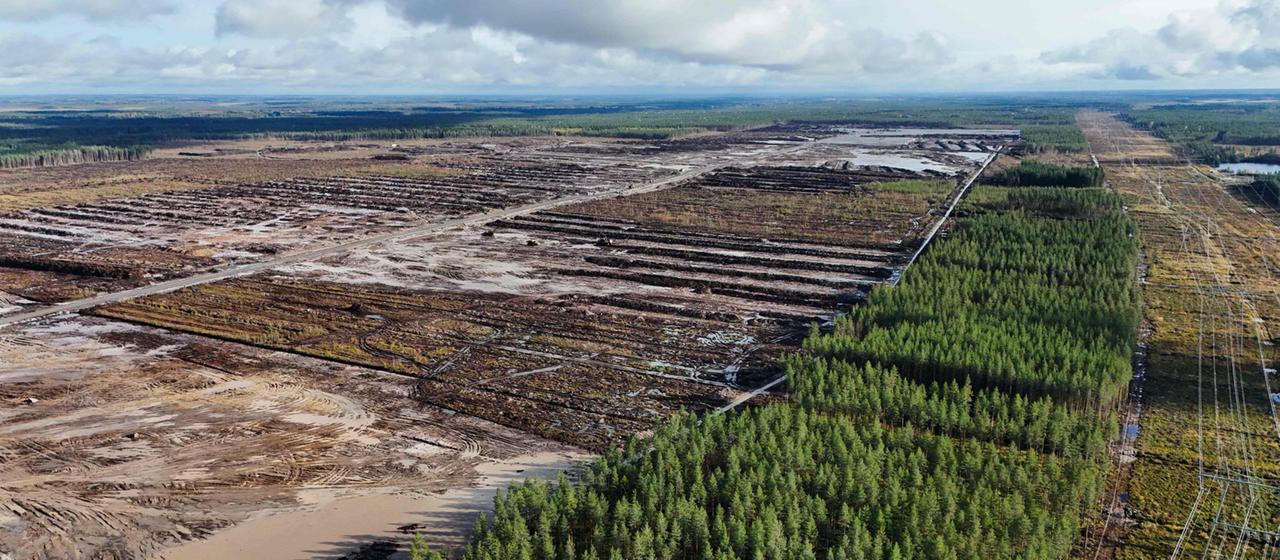 Google investiert in Finnlands Infrastruktur trotz Umweltbedenken