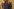 Celebrity Traitors: Spannung und Intrigen unter Prominenten