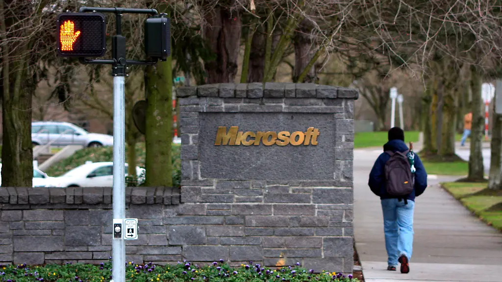 Vizepräsident wirft Microsoft Visamissbrauch vor