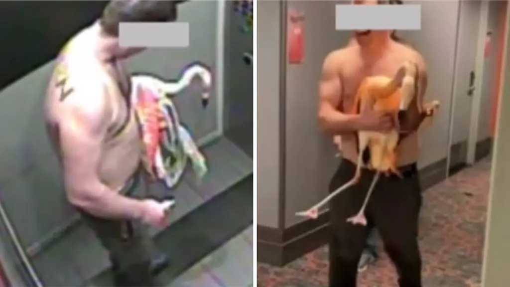 Mann des Flamingo-Diebstahls in Las Vegas für schuldig befunden