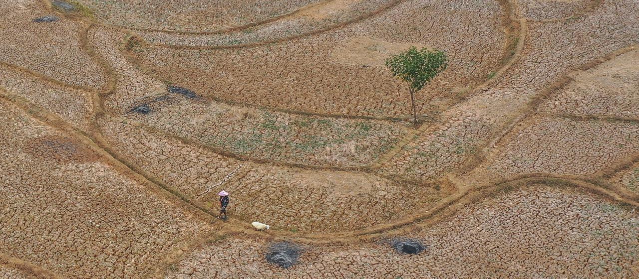 Bericht: Welt steuert auf 2,8 Grad Erwärmung zu