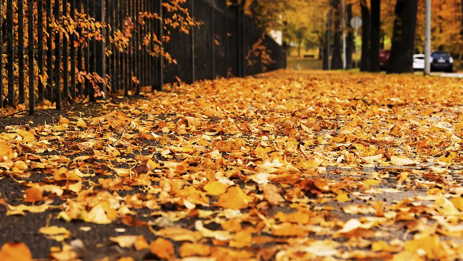 Änderungen für Verbraucher im Oktober
