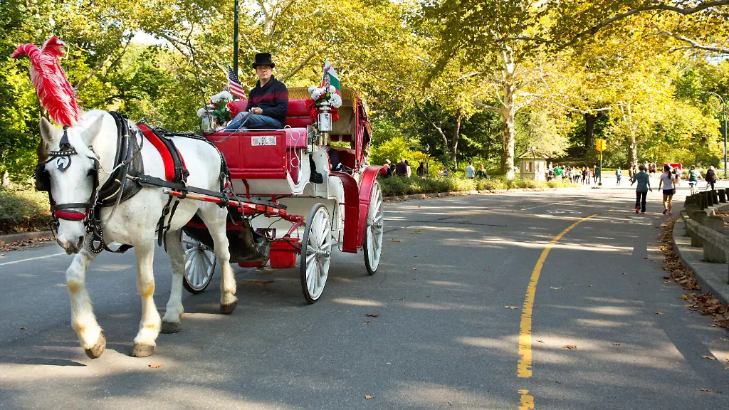 Ende der Pferdekutschen im New Yorker Central Park in Sicht