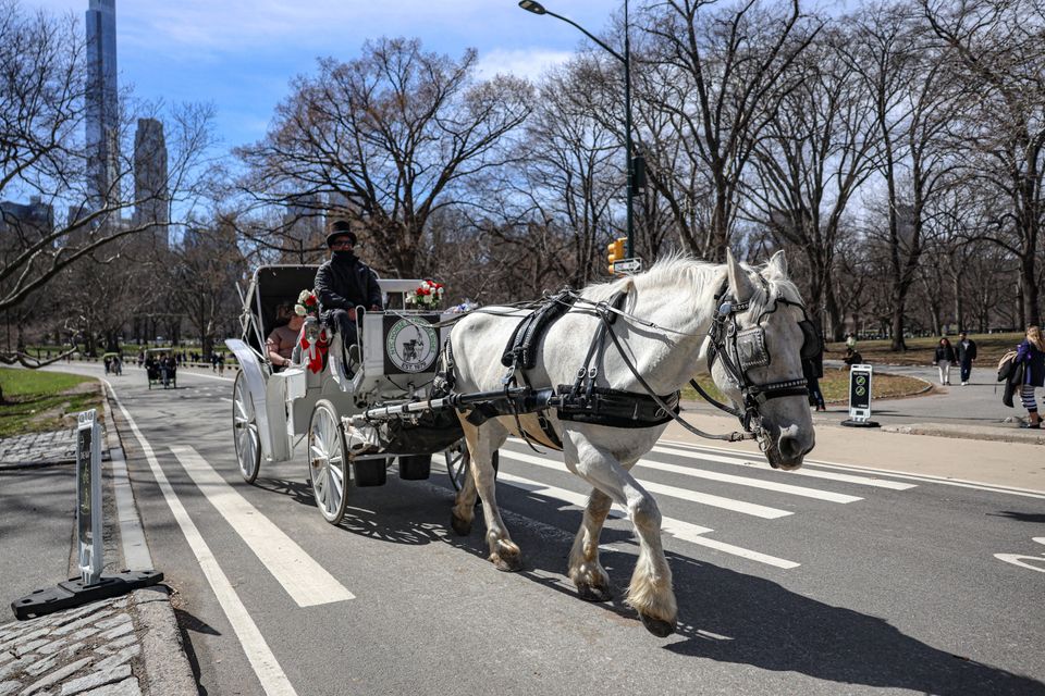 Das Ende der Pferdekutschen im Central Park