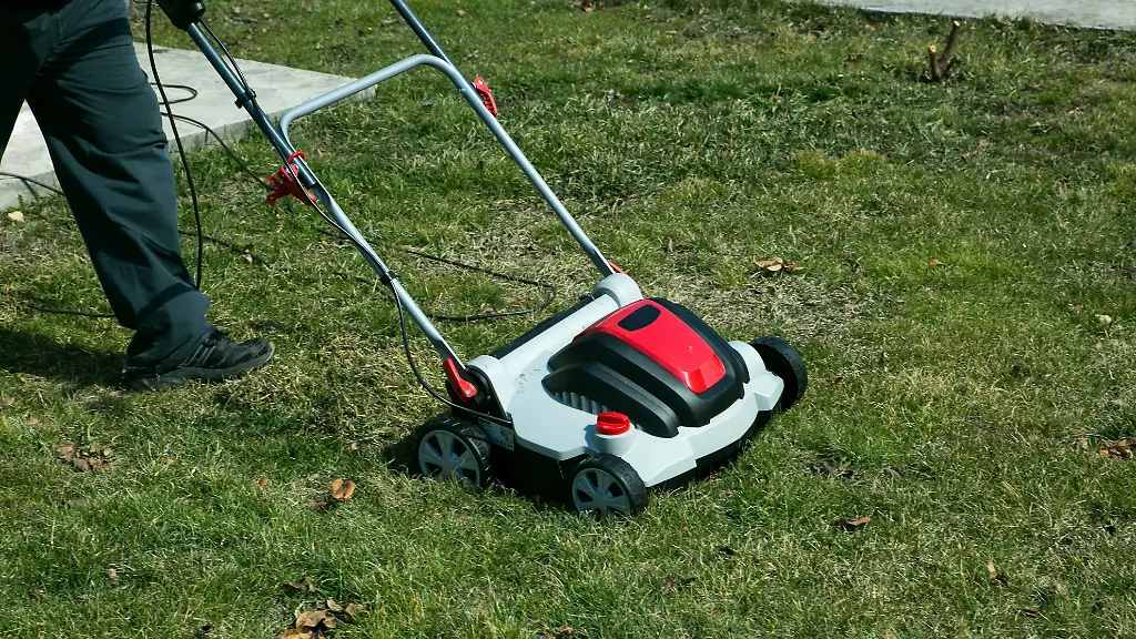Rasenpflege im Herbst: Richtiges Vertikutieren
