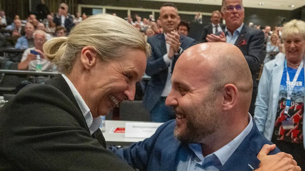 AfD E-Mail-Konten gehackt: Umfangreicher Datenleak