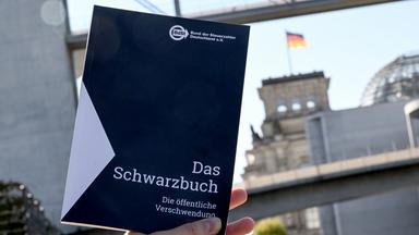 Schwarzbuch 2025/26: Beispiele für Steuerverschwendung