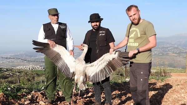 Gefahr für Zugvögel: Wilderer bedrohen Weißstörche